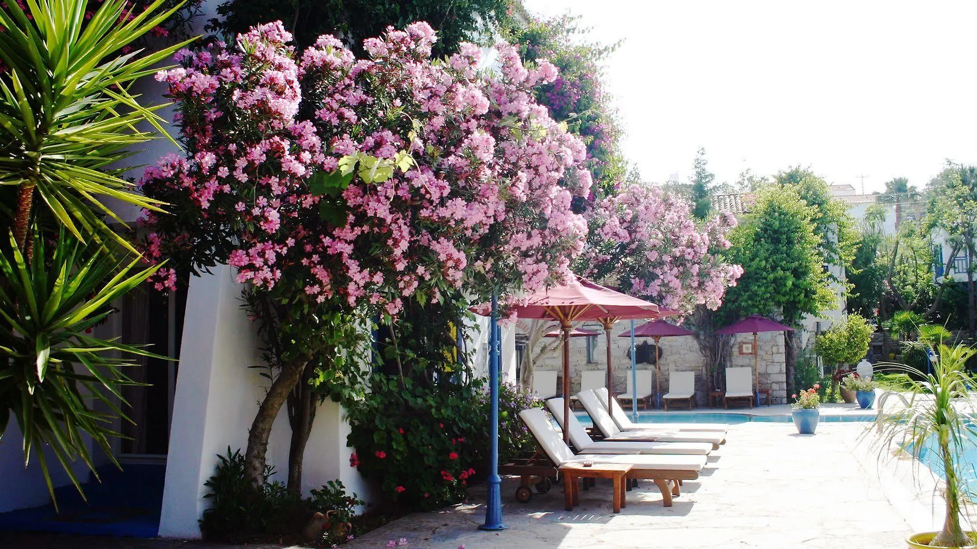Marphe Hotel Datça
