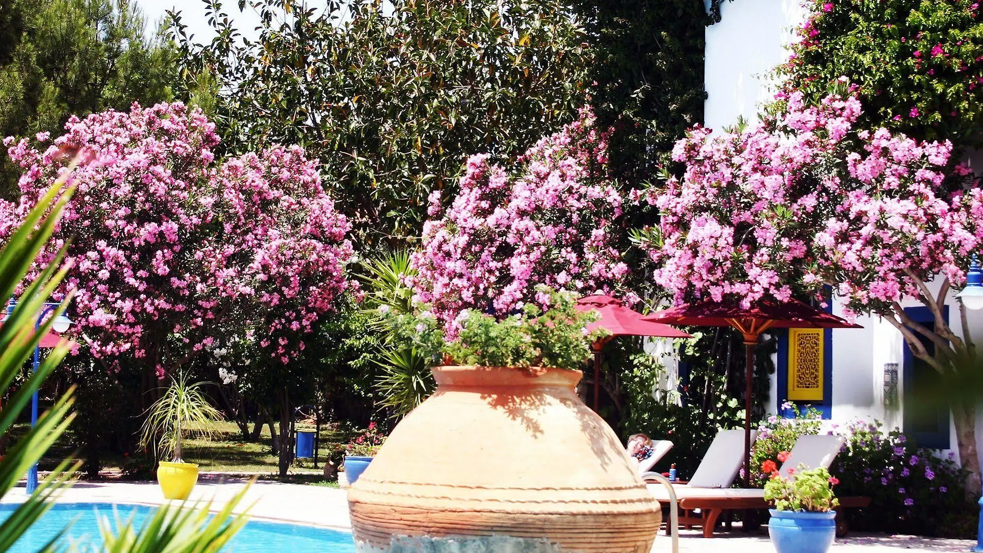 Marphe Hotel Datça 4*,  Turquie